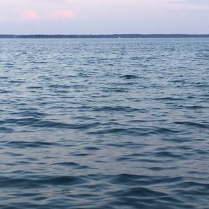 Meet your Posher, Fatma